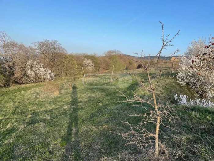 Land For Sale. Kveseti