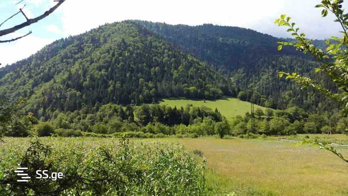 Land For Sale. Sadgeri