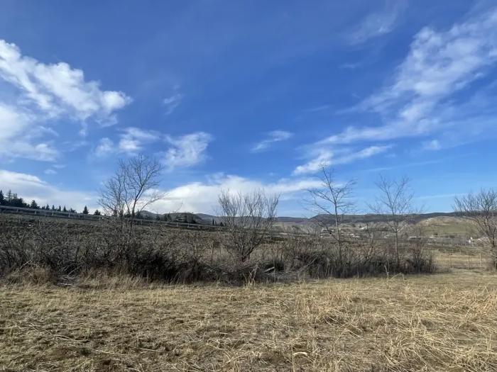 Land For Sale. Kumisi