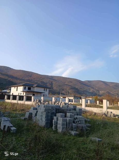 https://static.ss.ge/20260302/18_0341424f-cb04-402d-97e6-493f8779bbd0_Thumb.jpg