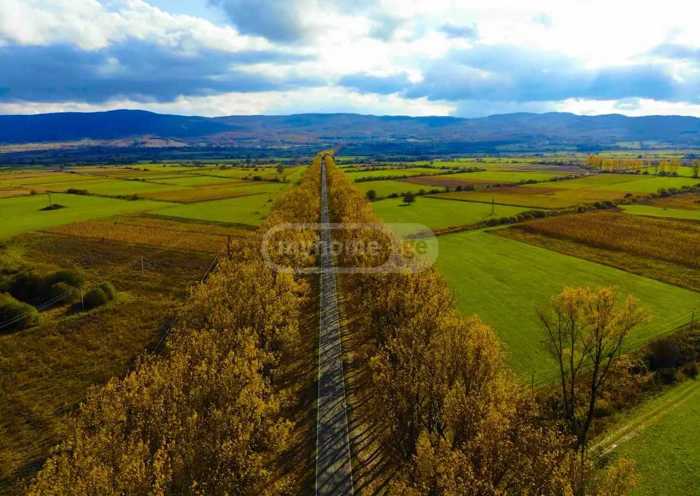 Land For Sale. Tianeti