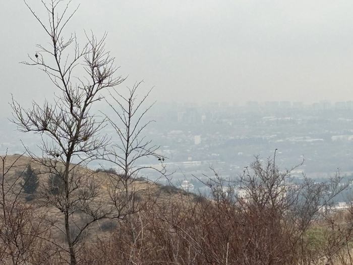 Land For Sale. Zurgovana