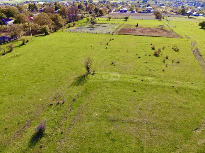 Land For Sale. Tianeti