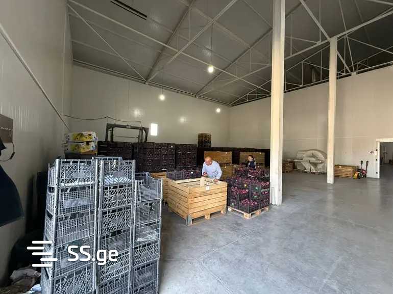 Store-Industrial Property For Rent. Gardabani view 9