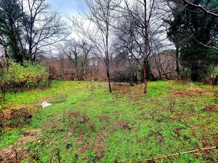 Land For Sale. Zemo Natanebi