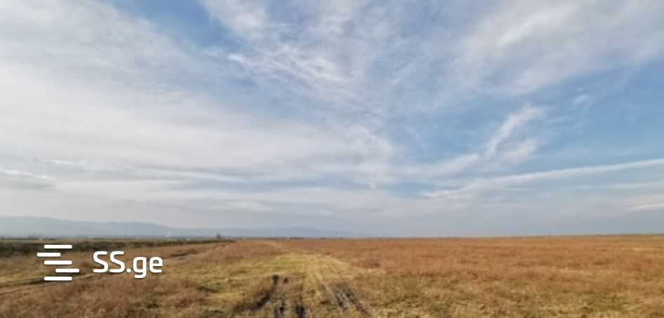 Land For Sale. Signagi view 1