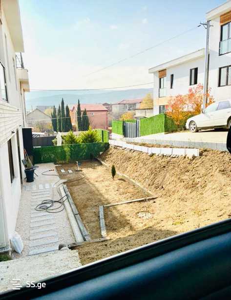 https://static.ss.ge/20260302/7_05e7511d-3b4d-48f6-8206-eac6d58d0f8b_Thumb.jpg