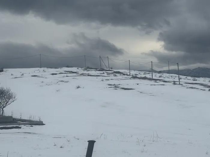 Land For Sale. Orbeti