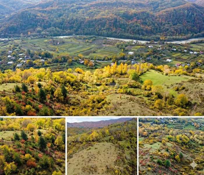 Land For Sale. Ambrolauri 