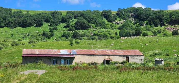 Land For Sale. Tsalka