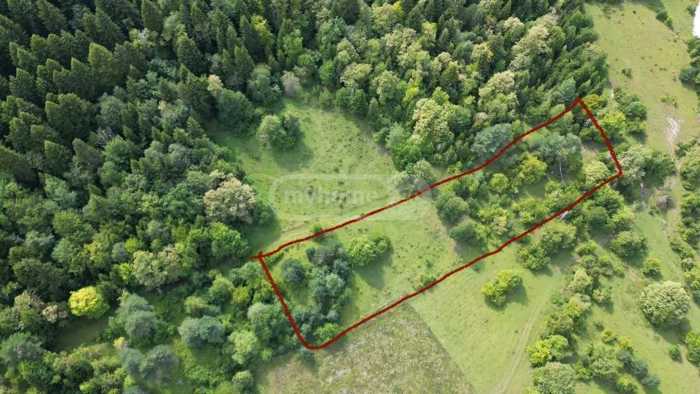 Land For Sale. Ambrolauri 