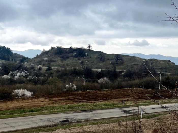 Land For Sale. Tetritskaro