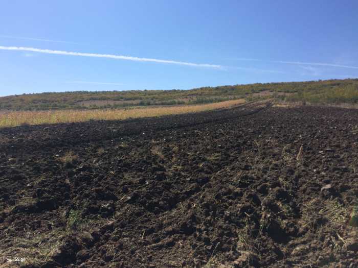 Land For Sale. Asureti