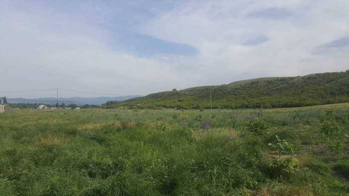 Land For Sale. Tserovani