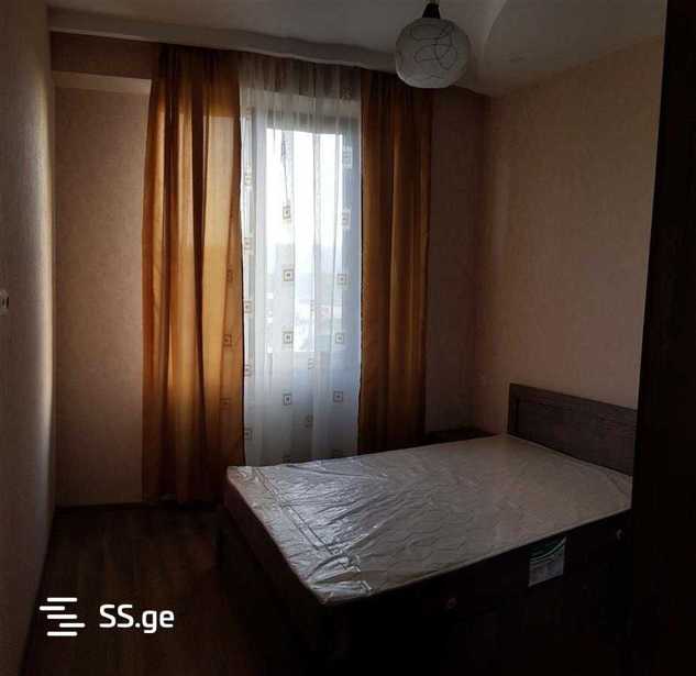 https://static.ss.ge/20260303/18_c131de8d-25b2-4f1a-babc-44004b573442_Thumb.jpg