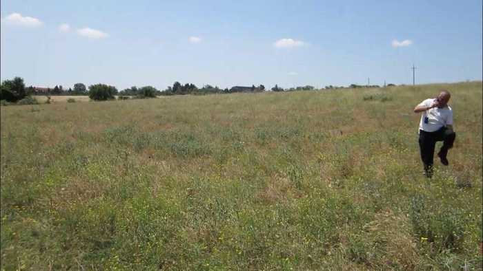 Land For Sale. Kvemo Teleti