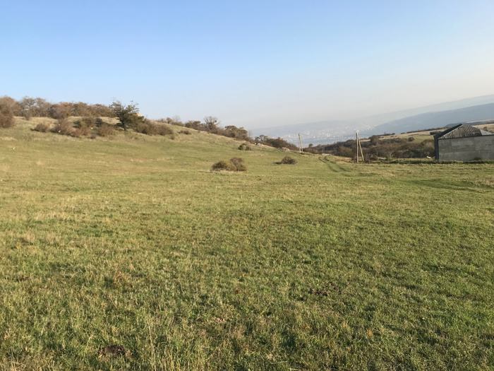 Land For Sale. Telovani