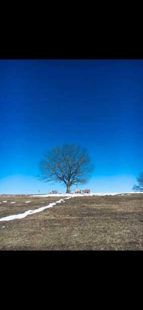 Land For Sale. Orbeti