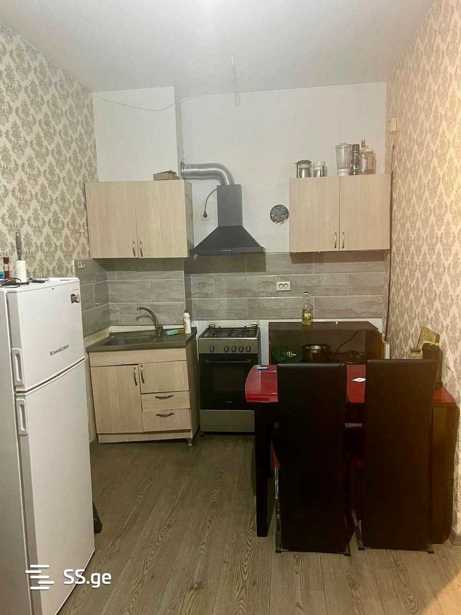 https://static.ss.ge/20260303/8_7df41f51-5e3a-4625-a02d-2122c2250d18_Thumb.jpg