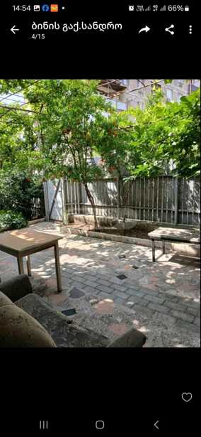 https://static.ss.ge/20260303/8_aa8a2473-d3e0-412b-a000-3314868f7a98_Thumb.jpg