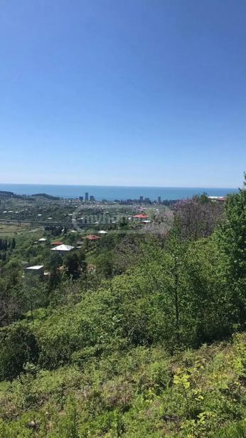 Land For Sale. Chaqvi