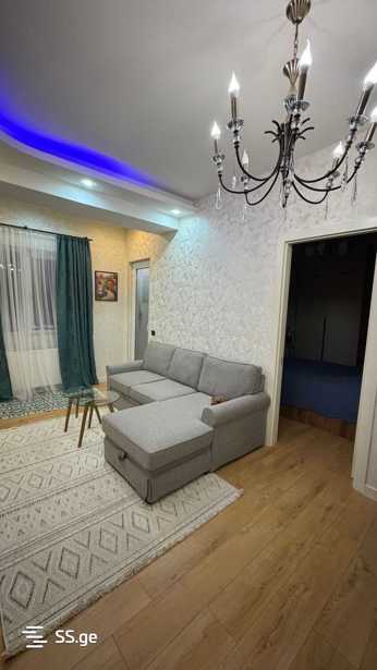 https://static.ss.ge/20260304/0_f40ddf20-b7fb-4c6d-bfb3-27a9b283187c_Thumb.jpg