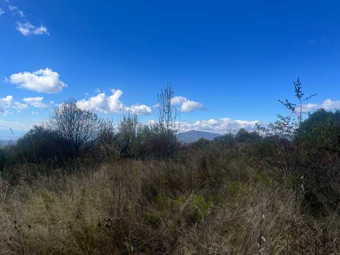 Land For Sale. Sagarejo