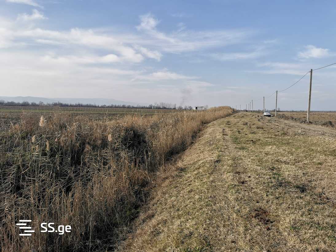 Land For Sale. Signagi view 3