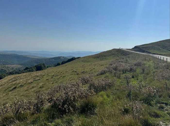 Land For Sale. Tetritskaro