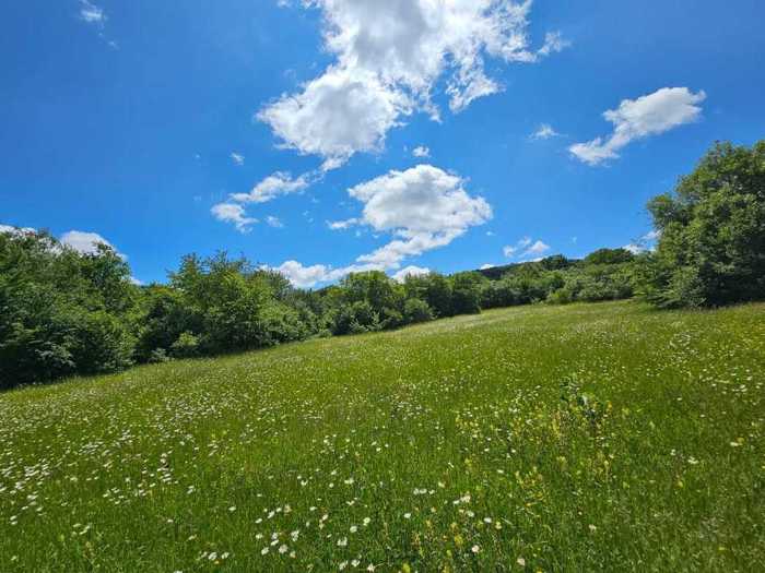 Land For Sale. Tianeti