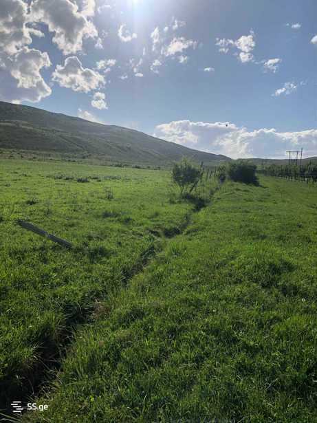 Land For Sale. Aghaiani
