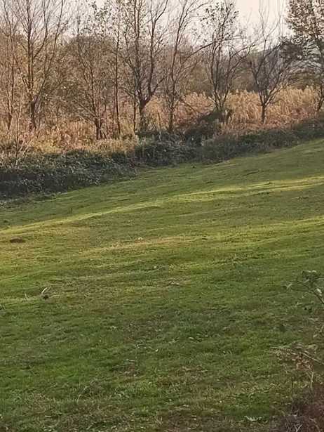 Land For Sale. Motsameta