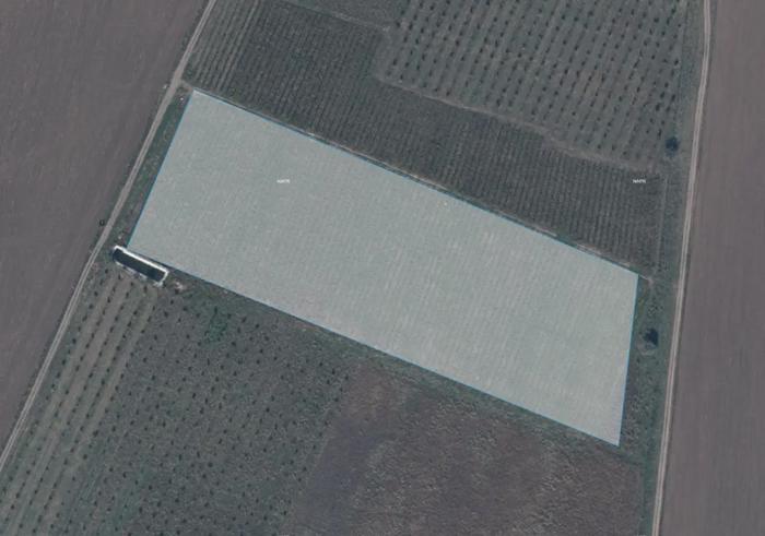 Land For Sale. Shaumiani
