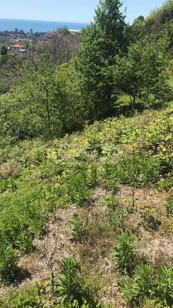 Land For Sale. Chaqvi