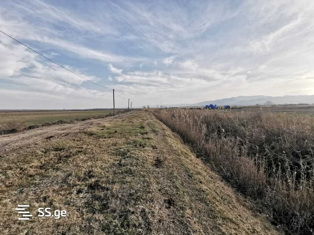 Land For Sale. Signagi view 4