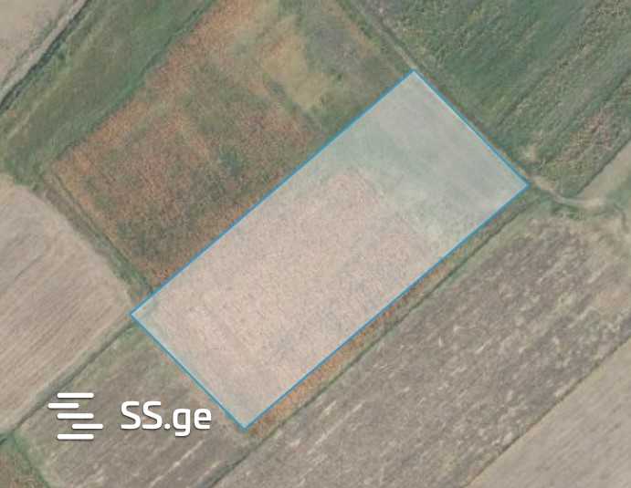Land For Sale. Signagi view 5
