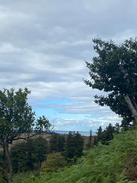 Land For Sale. Chaisubani