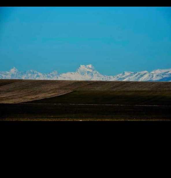 Land For Sale. Krtsanisi