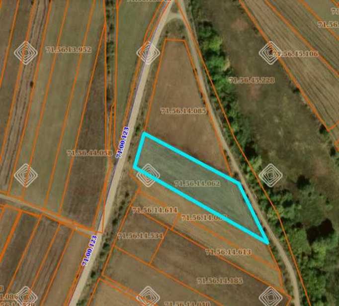 Land For Sale. Dusheti