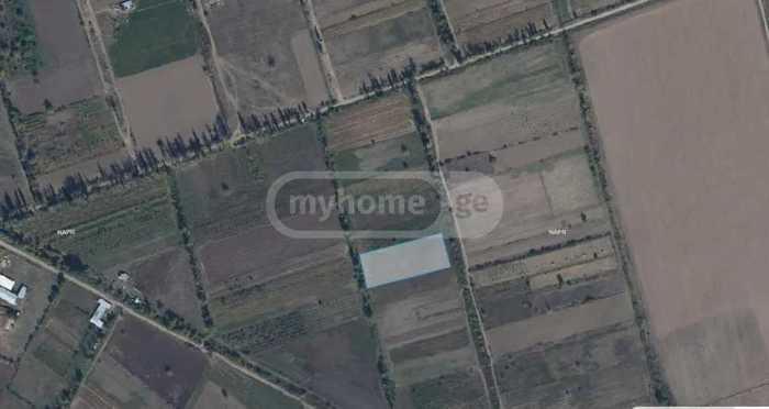 Land For Sale. Okami