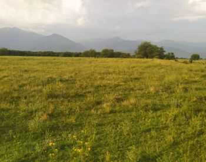 Land For Sale. Kvareli