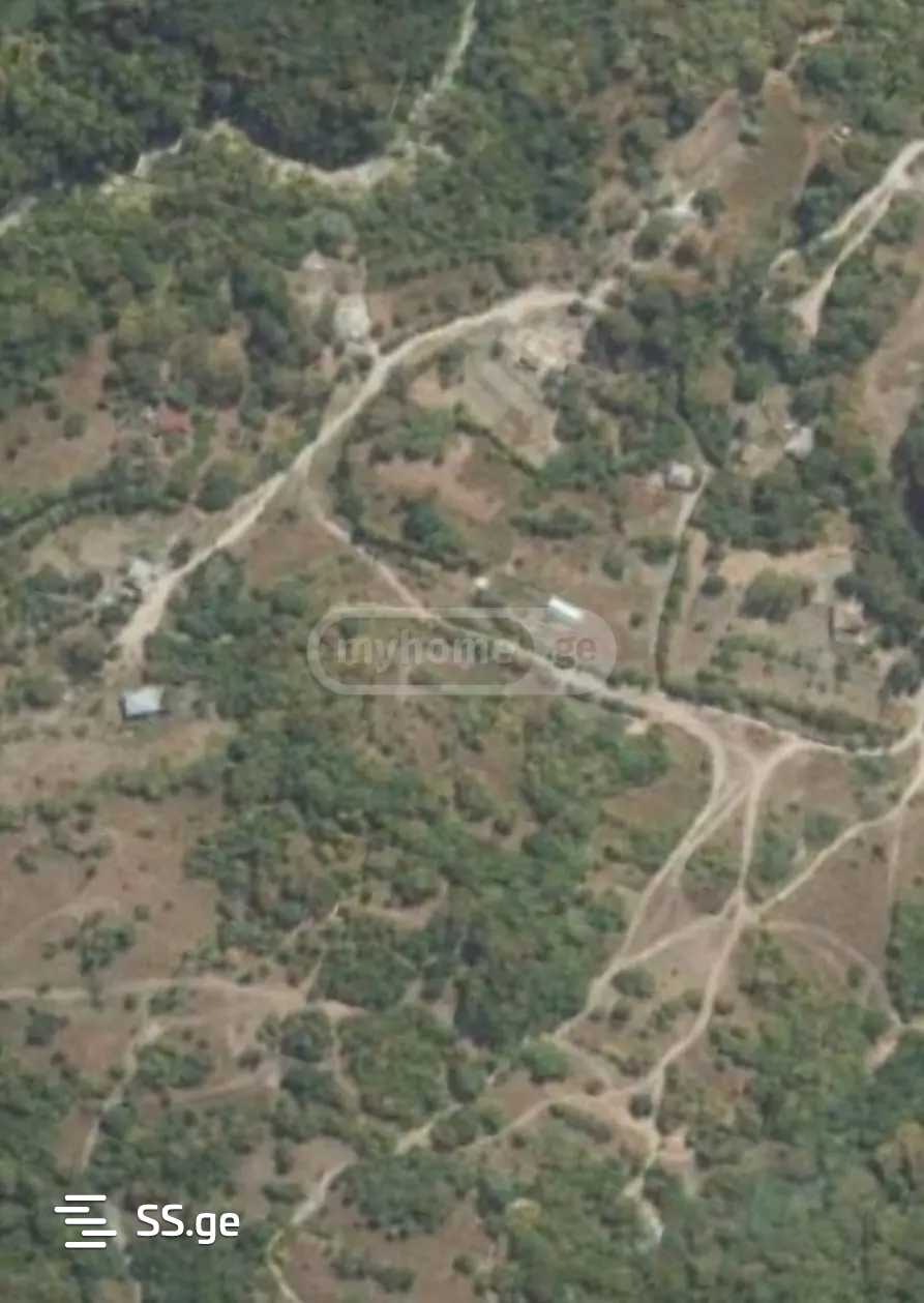 Land For Sale. Tianeti view 1