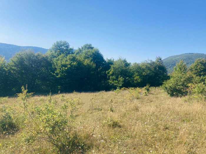 Land For Sale. Nikortsminda