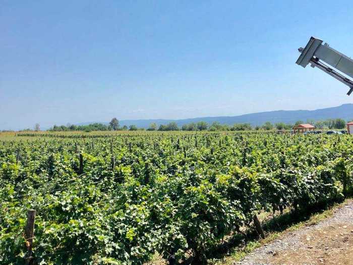 Land For Sale. Kvareli