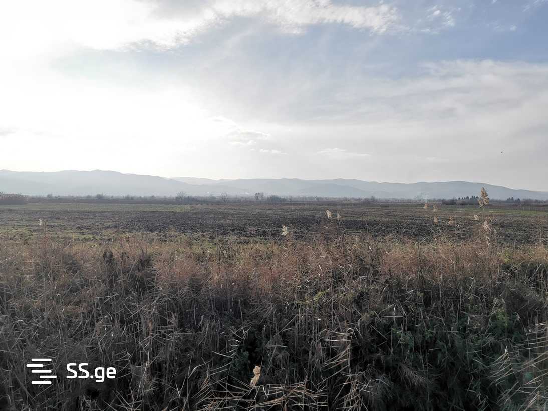 Land For Sale. Signagi view 1