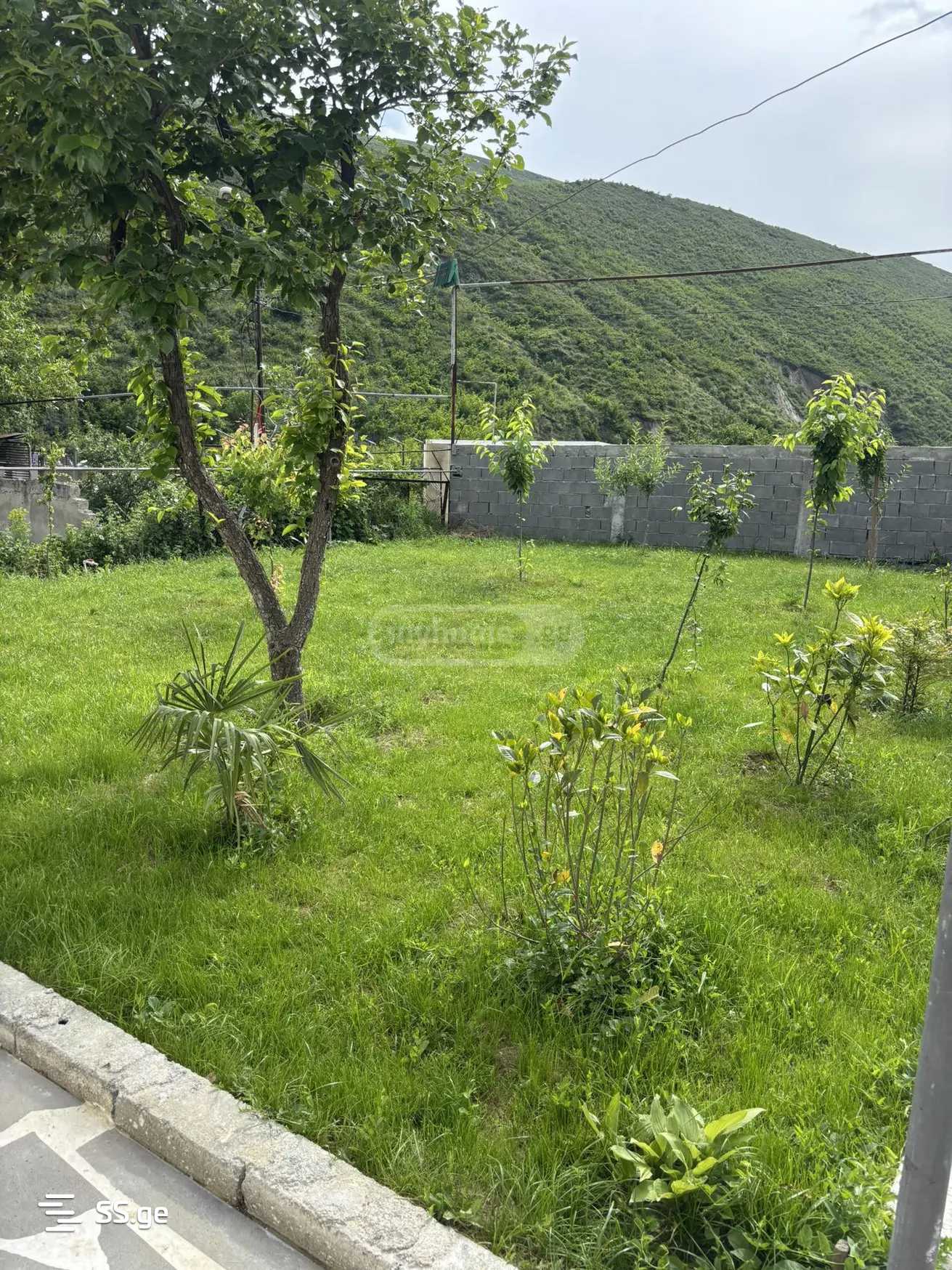 5 Room Private House Daily Rent. Digomi Village, 6 of 12