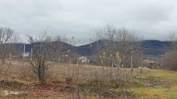 Land For Sale. Zakaro