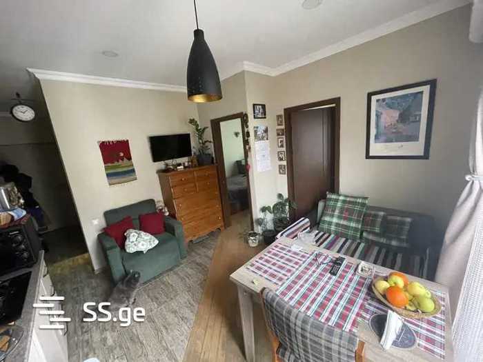 https://static.ss.ge/20260304/8_5a6b2669-546a-409b-a3ef-a3b13355873a_Thumb.jpg