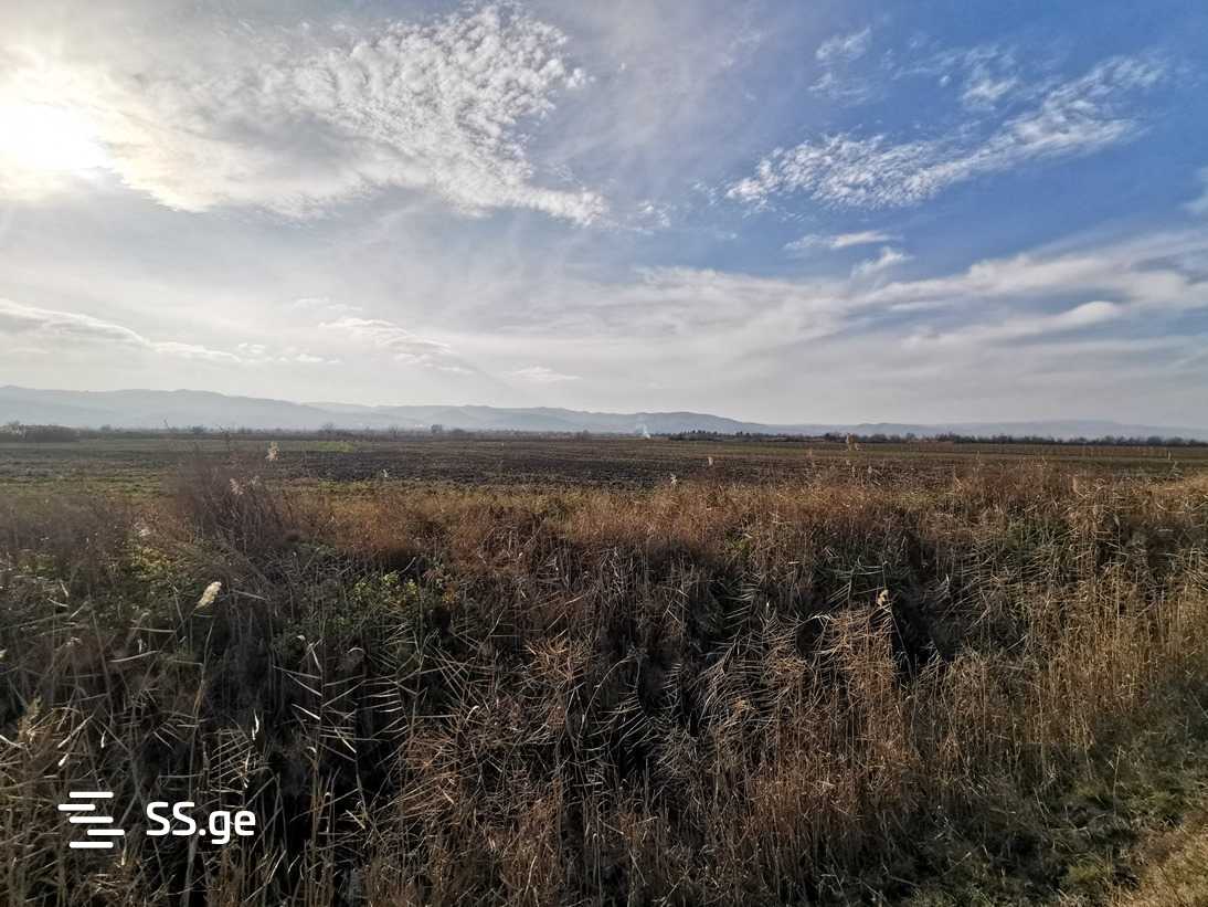 Land For Sale. Signagi view 2