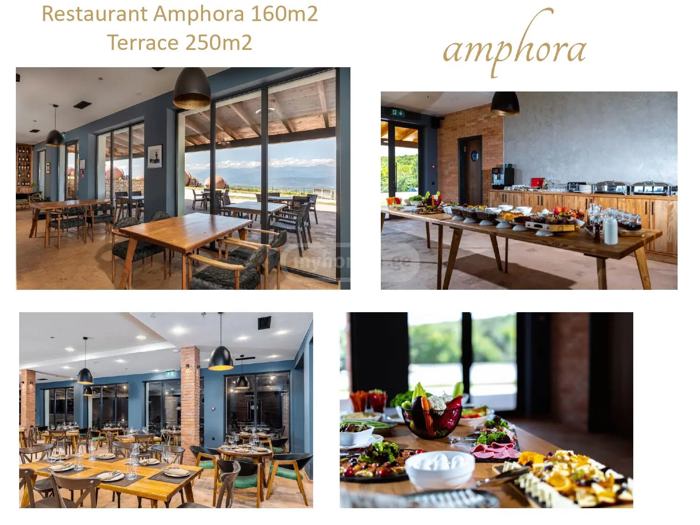 Hotel For Sale. Shalauri